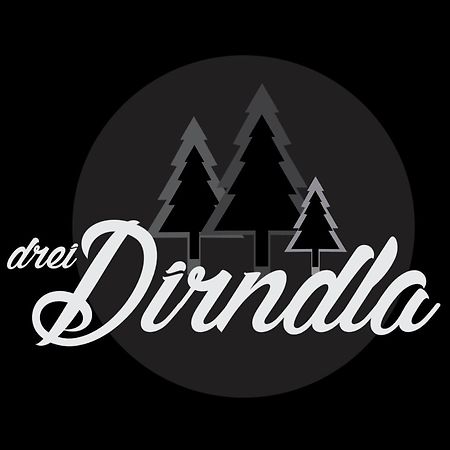 Drei Dirndla Apartment Schladming Exterior foto