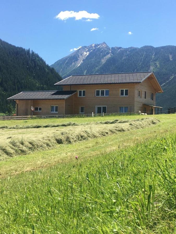 Drei Dirndla Apartment Schladming Exterior foto